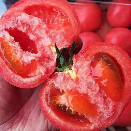 新疆吐鲁番沙瓤西红柿5斤 商品图1