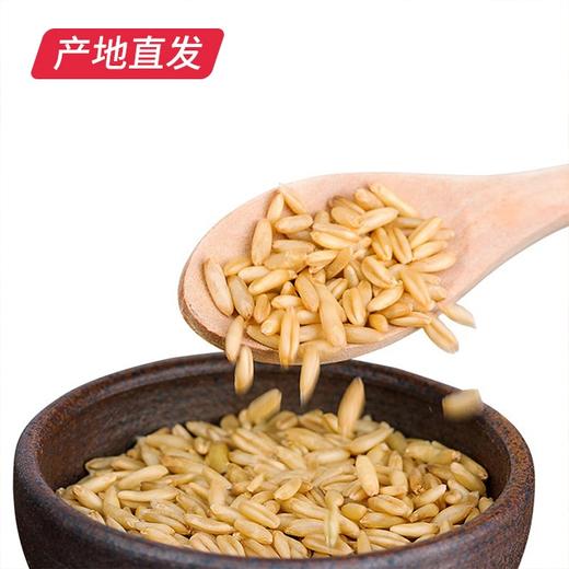 【晋之坊】燕麦米 2.5kg 产地直发 商品图3