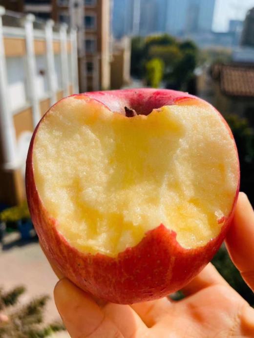 陕西洛川富士苹果（云南） 商品图1