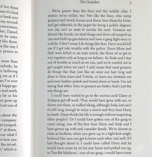 预售 【中商原版】常青藤国际大奖小说追逐金色的少年 局外人英文原版The Outsiders S.E.Hinton苏珊埃洛伊斯欣顿青少年读物 商品图3