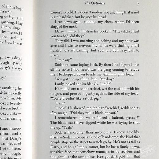 预售 【中商原版】常青藤国际大奖小说追逐金色的少年 局外人英文原版The Outsiders S.E.Hinton苏珊埃洛伊斯欣顿青少年读物 商品图5