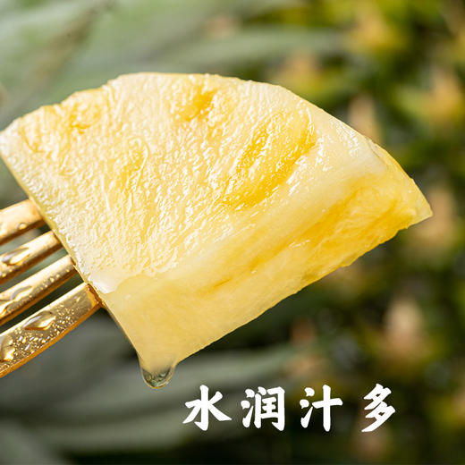 海南金钻凤梨（4.5斤左右2-3粒）新老包装随机发货【社群】 商品图1