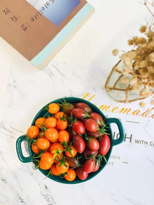 云南珠珠小番茄 商品图1