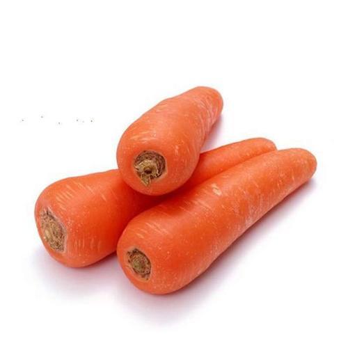 胡萝卜 约500克 商品图1