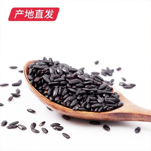 【晋之坊】黑米 2.5kg 产地直发 商品图1