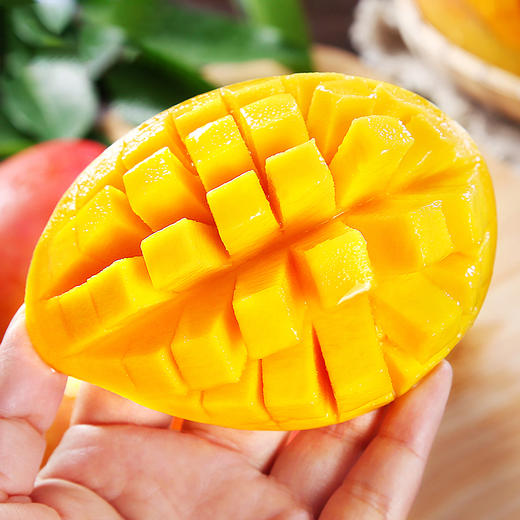 【助农】广西贵妃芒果 现摘芒果 金黄果肉 香浓软滑 肉厚多汁 商品图2