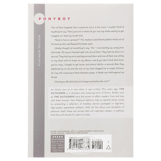 预售 【中商原版】常青藤国际大奖小说追逐金色的少年 局外人英文原版The Outsiders S.E.Hinton苏珊埃洛伊斯欣顿青少年读物 商品图1