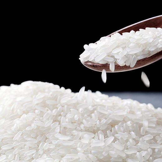 【东北】米小胖现磨稻香米10斤 商品图4