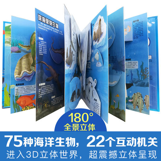 海洋立体书 3-6岁 儿童玩具童书 75种海洋生物22个互动机关进入3D立体世界 商品图3