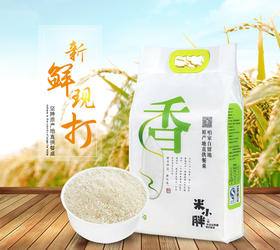 【东北】米小胖现磨稻香米10斤