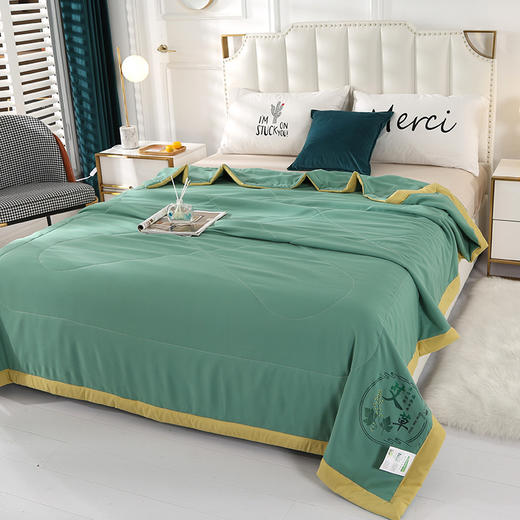 【艾草驱蚊夏凉被】艾草纤维夏凉被 纯色被子烫花款亲肤棉空调被 可机洗 商品图1