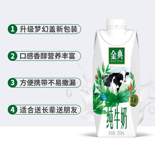 伊利金典梦幻盖纯牛奶250ml*10盒 商品图1