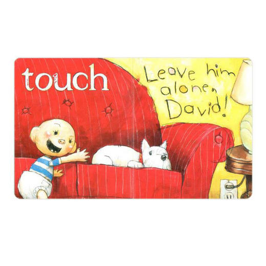 【宝莉爹书单 0-3岁】英文原装进口原版书 Oh, David!: A Pocket Library Box Set 商品图4