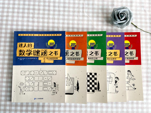 【数学科普】迷人的数学谜题之书 全5册 赠送15节思维视频课 让孩子在玩耍中学会解决问题  真正锻炼孩子的直觉力和创造力 商品图2