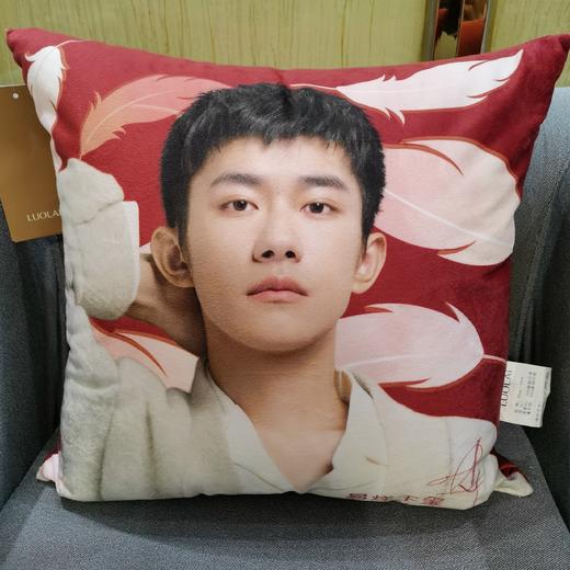 罗莱代言人小抱枕 商品图1