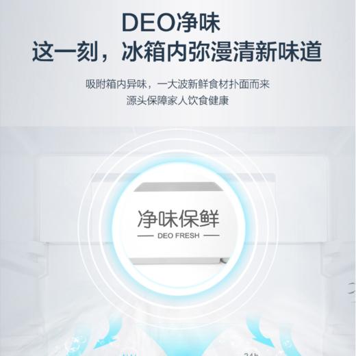 海尔（Haier）冰箱BCD-252WXPS 商品图4