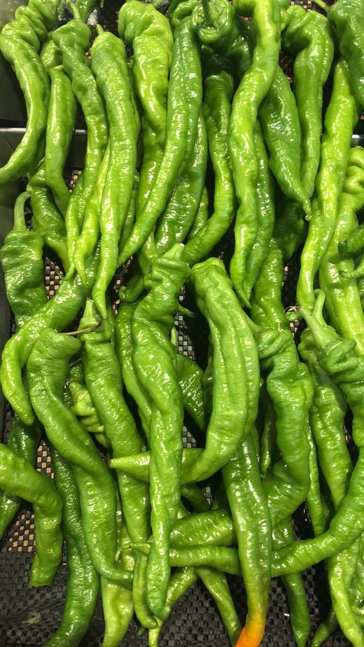 螺丝椒（生鲜类商品当日取货，过期按取货日价格） 商品图0