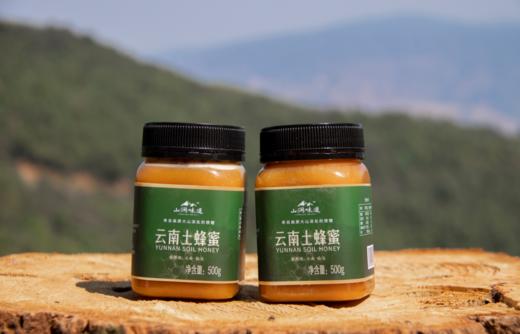【土蜂蜜】纯天然成熟顶级蜜 商品图5