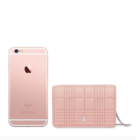 BURBERRY 博柏利女士单肩包	
["颜色:粉色","国际码:均码","尺寸:10*2.5*7cm"],小牛皮-纳德隆国际会员8折-8026629 商品图2