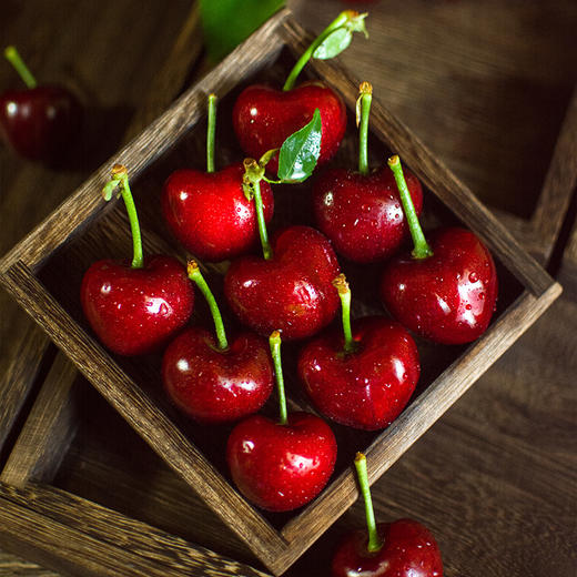 大连【美早大樱桃】个大饱满 香甜多汁 果形圆润 现摘现发 老人孩子都爱吃！【顺丰包邮】 商品图5