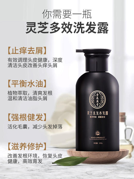 【新版】灵芝洗发水护发露密发正品官方品牌去屑止痒控油改善毛躁 （新旧混发） 商品图3