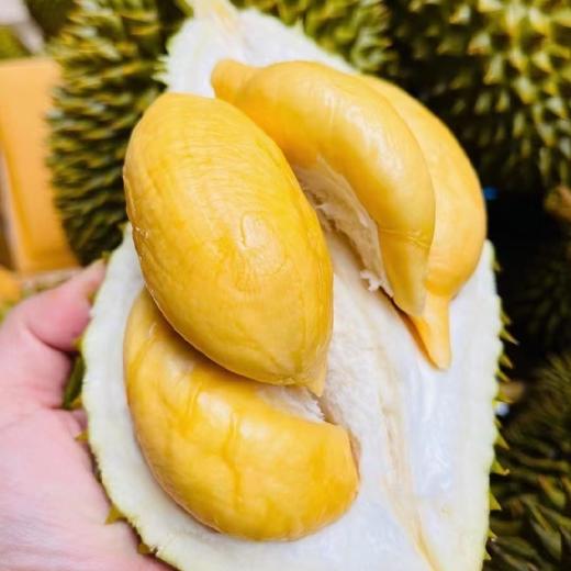 托曼尼榴莲 商品图7