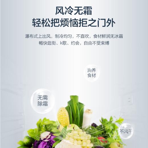 海尔（Haier）冰箱BCD-252WXPS 商品图3