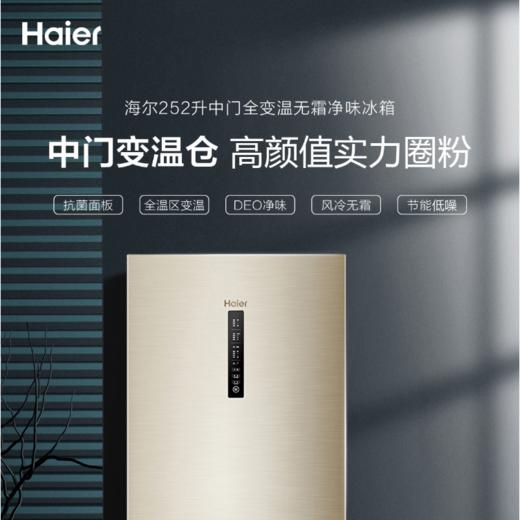 海尔（Haier）冰箱BCD-252WXPS 商品图1