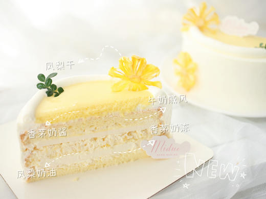 5"香茅凤梨 商品图2