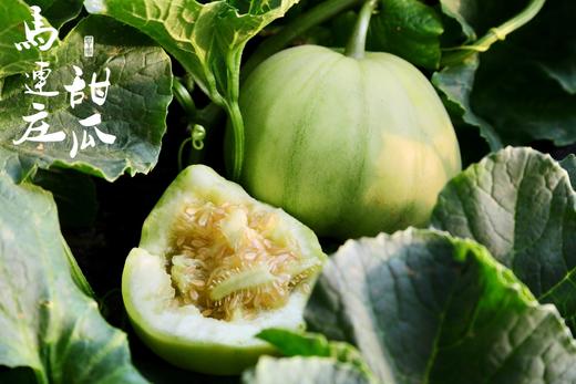 飨实 马连庄甜瓜  山东青岛  瓜香浓郁，皮薄可食 商品图0