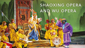 Shaoxing Opera and Wu Opera