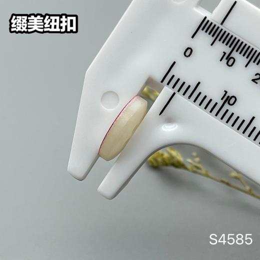 S4585(整包购买) 商品图7