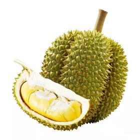 泰国甲伦榴莲分享价58一个