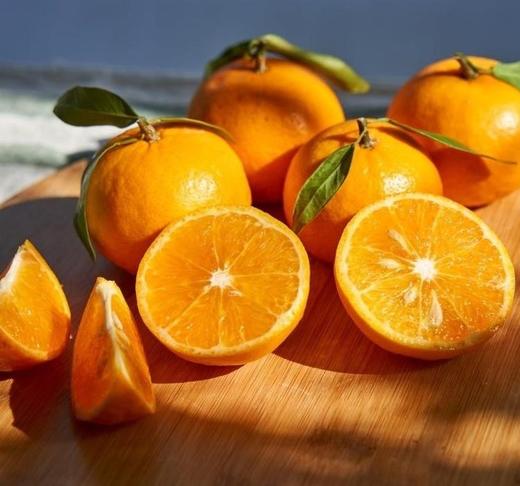 【新鲜采摘产地直发】素方舟有机沃柑 | 云南大理（顺丰速运） 商品图0