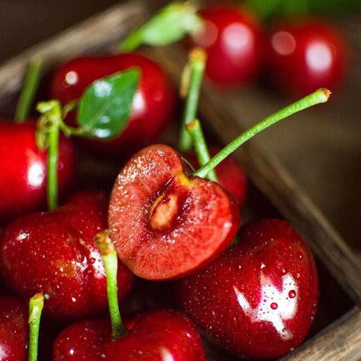 大连【美早大樱桃】个大饱满 香甜多汁 果形圆润 现摘现发 老人孩子都爱吃！【顺丰包邮】 商品图0