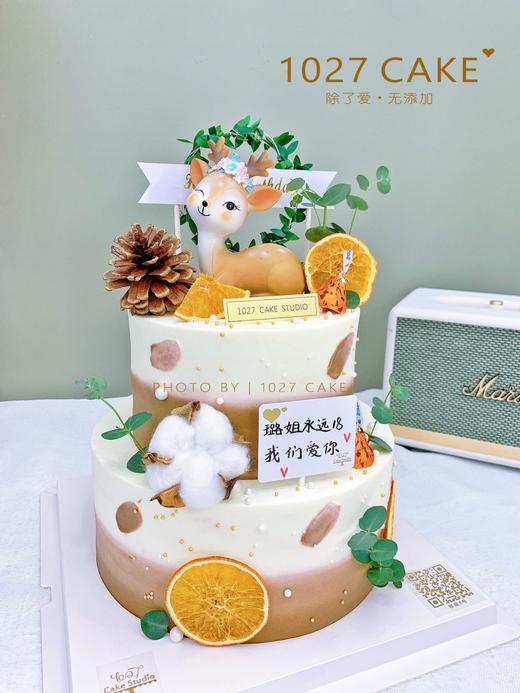 1027CAKE |   一“鹿”有你 双层麋鹿蛋糕 ins风 商品图2