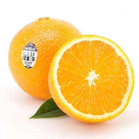美国3107橙