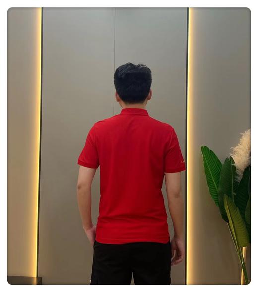 反领短TB01184 商品图3