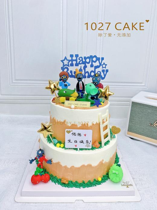 1027CAKE | 双层 植物大战僵尸 商品图0