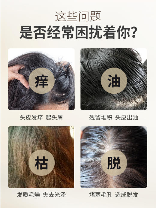 【新版】灵芝洗发水护发露密发正品官方品牌去屑止痒控油改善毛躁 （新旧混发） 商品图1