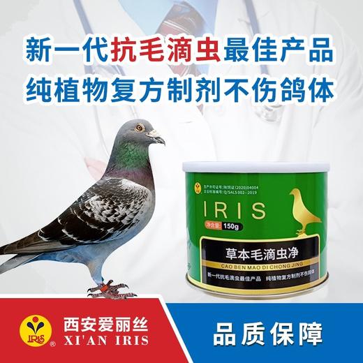 爱丽丝新品【草本毛滴虫净】150g赛鸽清毛滴虫喉内白点口黄鸽子药哺乳期幼鸽生长期都可使用安全高效 商品图0