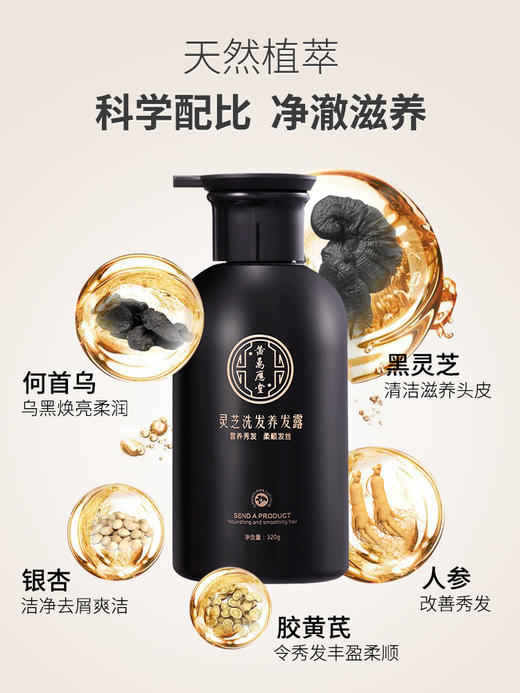 【新版】灵芝洗发水护发露密发正品官方品牌去屑止痒控油改善毛躁 （新旧混发） 商品图4