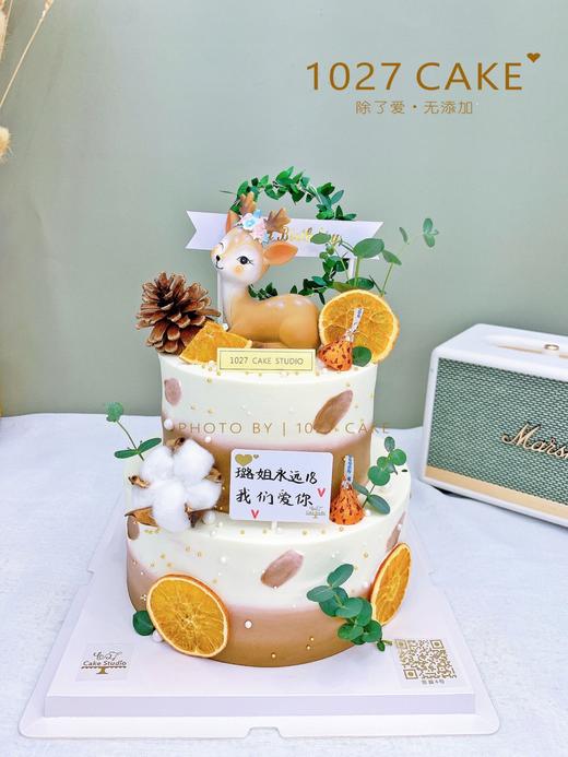 1027CAKE |   一“鹿”有你 双层麋鹿蛋糕 ins风 商品图0