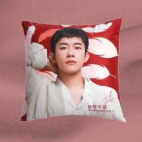 罗莱代言人小抱枕