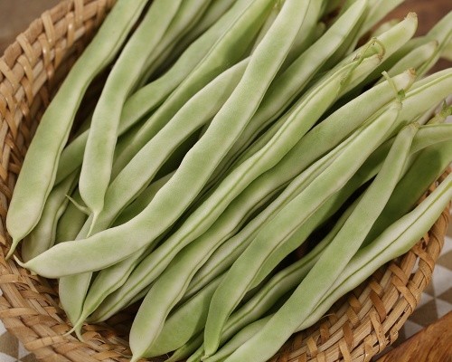 白不老架豆 500g