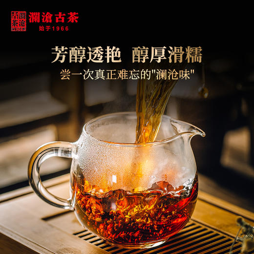 【开仓专享】澜沧古茶 2010年0085金瓜 景迈古树春茶普洱茶熟茶叶（500g/个） 商品图3