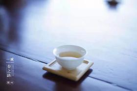#潮州 Day3 双髻娘山 天有茶业的茶厂