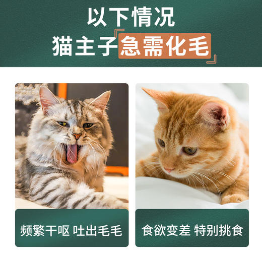 新宠之康-猫草化毛球片-60g天然植物去毛球调理肠胃猫咪化毛片 商品图2