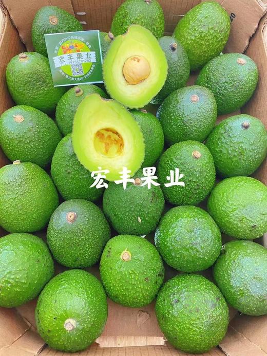 宏丰精选   进口牛油果，肉质软滑，高性能宝宝辅食  活动价12.8元一个 商品图8