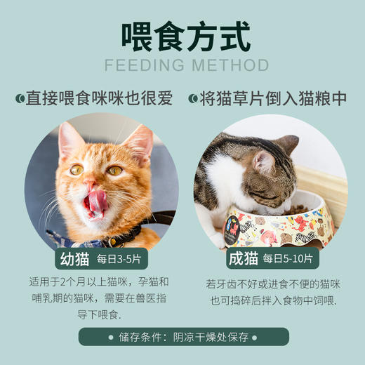 新宠之康-猫草化毛球片-60g天然植物去毛球调理肠胃猫咪化毛片 商品图4